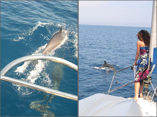 Crociere in barca a vela ai caraibi