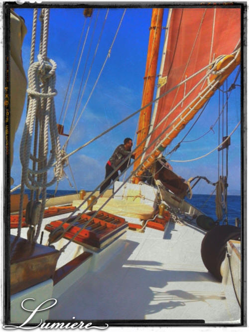 Navigando in barca vela